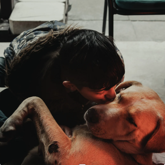 <em>Silvia D. Gallego</em>